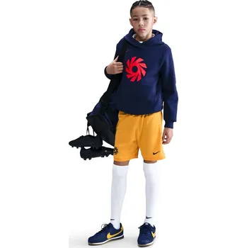 Chlapecké kraťasy Nike Gold 1167413 9-10 (M)