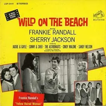Hudba CD Wild On The Beach / O.s.t.: Wild On The Beach / O.s.t. 2016