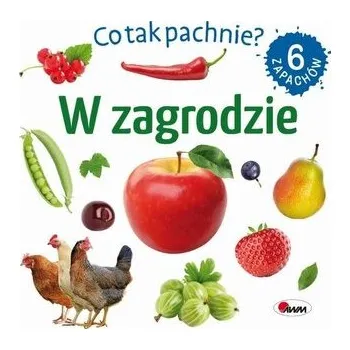 Bystrá hlava CO TAK PACHNIE? W ZAGRODZIE - ..