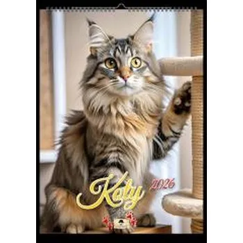 Kalendář Kalendarz 2026 A4 ścienny na spirali koty