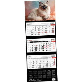 Kalendář Kalendář 2026 TŘÍDÍLNÝ nástěnný 31x84cm SILNÁ HLAVA kočka