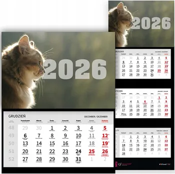 Kalendář Trojdílný kalendář 2026 Nástěnný Kancelářský pro milovníky koček - různé vzory
