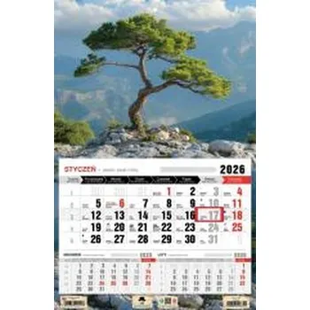 Kalendář Kalendarz 2026 jednodzielny bonsai