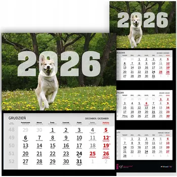 Kalendář Trojdílný kalendář 2026 Stolní nástěnný Vtipné motivy psů
