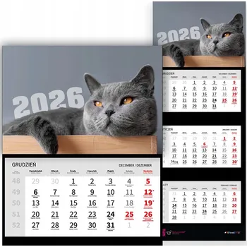 Obraz Trojdílný kalendář na zeď 2026 - Kancelářský, pro milovníky koček - Různé vzory