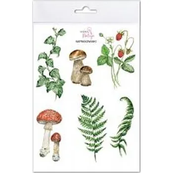 Set školních potřeb Naprasowanki Przyroda w lesie