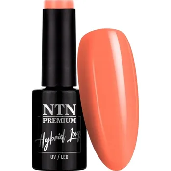 Přípravek na nehty Hybridní lak na nehty NTN 5g Delight Sorbet Collection Orange Č.152