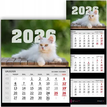 Kalendář Trojdílný kalendář 2026 Stolní Závěsný Nástěnný Bílý Kočka Mix Vzorů