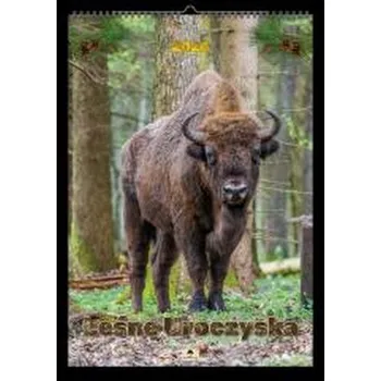 Kalendář Kalendarz 2026 A2 ścienny jednostronny uroczyska