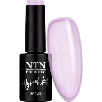 Lak na nehty Hybridní lak barevný lak Ntn 172 5 ml