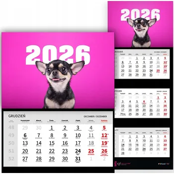 Kalendář Trojdílný kalendář 2026, nástěnný, kancelářský - Čivava Mix (Wz)