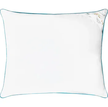 Polštář Polštář s Aloe Vera 50x70