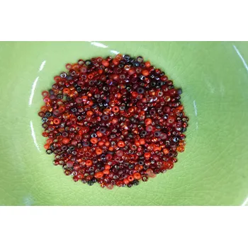 Dětské navlékací korálky Korálky PRECIOSA rokajl vel.11/0 - odstíny červené - 10g