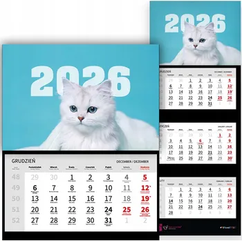 Kalendář Trojdílný kalendář 2026 Stolní Závěsný Nástěnný Kočka Mix Vzorů