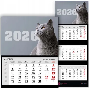 Kalendář Trojdílný kalendář 2026 nástěnný pro milovnice koček - různé vzory