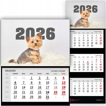 Kalendář Trojdílný kalendář 2026 Stolní závěsný nástěnný Malý Pes Mix Vzorů