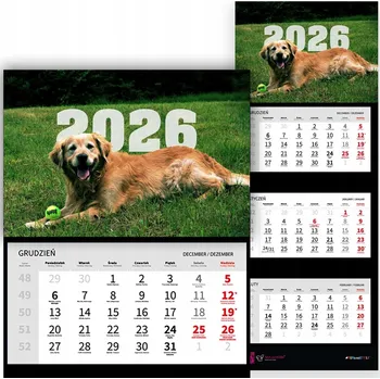 Kalendář Trojdílný kalendář na rok 2026, nástěnný, kancelářský - Zlatý retrívr mix Wz
