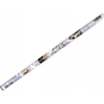 Grafitová tužka Tužka s gumou Starpak HB 1 ks