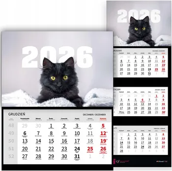 Kalendář Trojdílný kalendář 2026 Stolní nástěnný s černou kočkou Vz