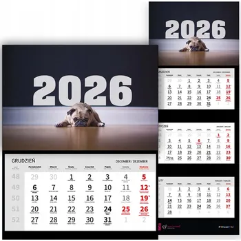 Kalendář Trojdílný kalendář na rok 2026, nástěnný, kancelářský - Mops - různé vzory