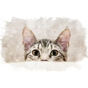 Obraz Obrázek Zvědavé kotě malované akvarelem 30x20 cm