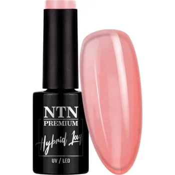 Přípravek na nehty NTN hybridní lak na nehty, barva UV LED 291