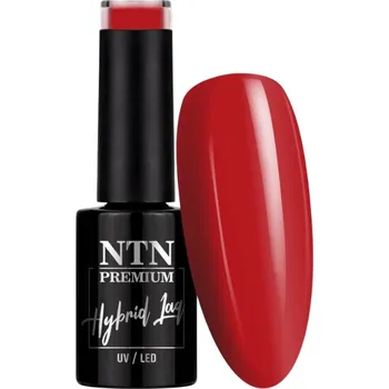 Lak na nehty Hybridní lak Ntn Oriental Delice 5g Č. 269