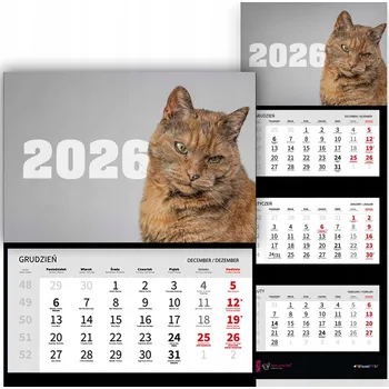 Kalendář Kalendář Trojdílný 2026 Stolní Nástěnný Pro Fanoušky Koček Vz