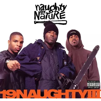 Zahraniční hudba 19 Naughty III/Anniversary Naughty By Nature Vinylová Deska