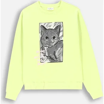 Chlapecká mikina Dětská mikina bavlna Coccodrillo velikost 164