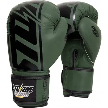 Boxerské rukavice Boxerské rukavice Storm Cloud Bolt 2.0 10 oz