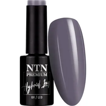 Přípravek na nehty Hybridní lak na nehty NTN 5g After Midnight Collection Šedý Č.65