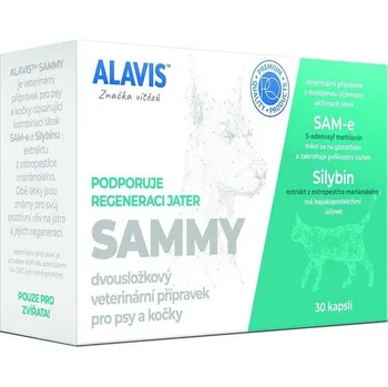Vitamíny pro psy Alavis želatinové kapsle 1 ks