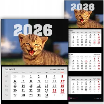 Obraz Trojdílný kalendář na rok 2026, kancelářský, závěsný na zeď, malý, kočka - mix vzorů