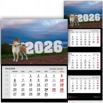 Kalendář Trojdílný kalendář 2026 Stolní závěsný nástěnný Shiba - Mix vzorů