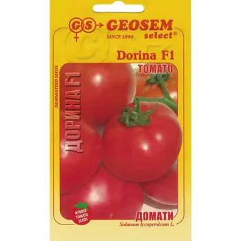 Semeno Rajče tyčkové Dorina F1 (středně vysoké) 12/2025