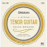 D'Addario EJ66 + prodloužená záruka 3 roky