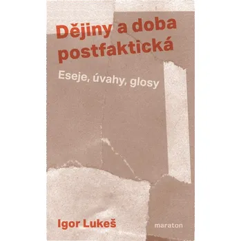Kniha Dějiny a doba postfaktická
