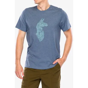 Pánské tričko Tričko s potiskem Cotopaxi Into the Pines T-Shirt - tempest