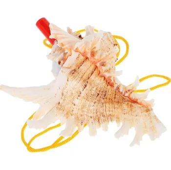 Lastura, roh, píšťalka, mořské mušle, dětská hračka, dekorace, námořní dekorace, čiré, více tónů,