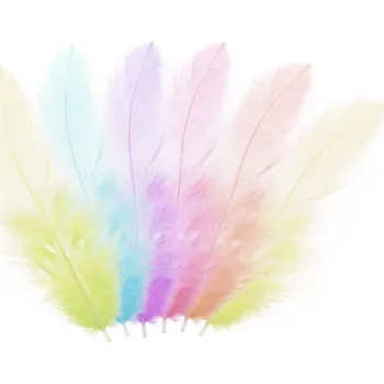 Výtvárné potřeby Peří v sáčku 10g odstíny v pastelových barvách