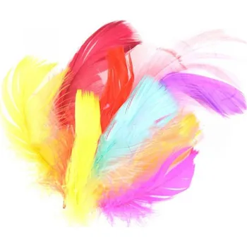 Party dekorace Peří v sáčku 10g mix barev