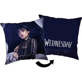 Dekorativní polštářek JERRY FABRICS Polštářek Wednesday Rain Polyester, 40/40 cm akce