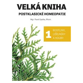 Velká kniha postklasické homeopatie