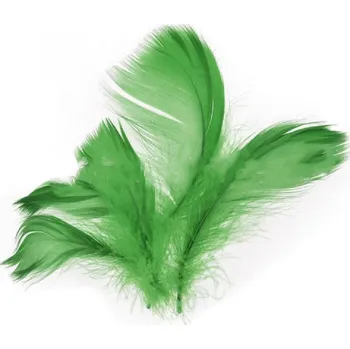 Party dekorace Peří v sáčku 10g zelené