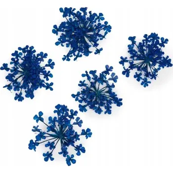 SUŠENÉ KVĚTY NA NEHTY KVÍTKY MODRÉ