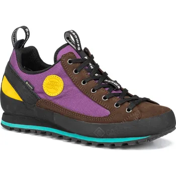 Pánská sportovní obuv Turistická obuv pánská HANWAG Rotpunkt Low GTX Brown/Violet - 44