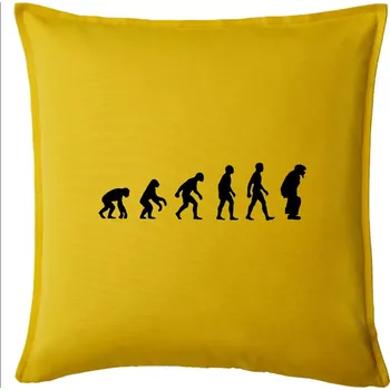 Polštář Evoluce baseball chytač - Polštář 50x50 - 50x50 - Pouze potah ( Žlutá )