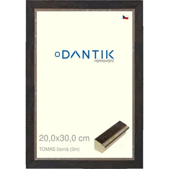 Rám na obraz DANTIK rámeček 20x30 | TOMAS černá (Sklo Čiré) (Vyrobeno s láskou u nás v DANTIKU)