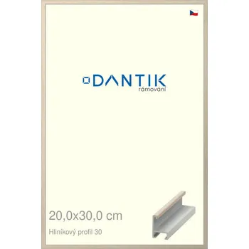 Rám na obraz DANTIK rámeček 20x30 | ALU profil 6030 Dýha slovnová kost (Sklo Čiré) (Vyrobeno s láskou u nás v DANTIKU)